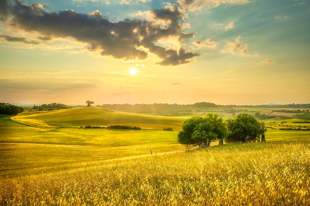 Foto paisagem do pôr-do-sol na maremma colinas e árvores bibbonatoscana itália