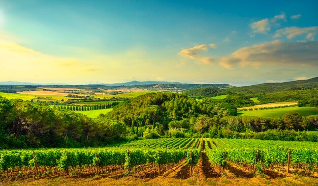 Foto paisagem do pôr-do-sol na maremma colinas onduladas e ciprestes casale marittimotoscana itália