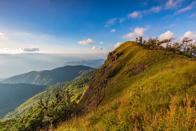 Paisagem do prado na montanha alta em Doi segunda-feira Chong, Chiangmai, Tailândia.