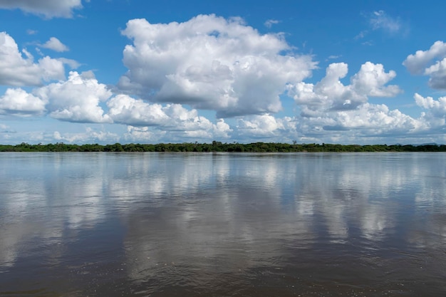 Foto paisagem do rio branco em roraima