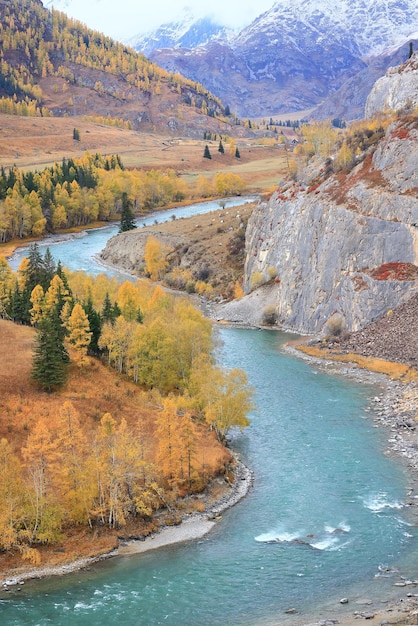 Paisagem do rio da montanha de Altai, fluxo panorâmico do cenário turquesa