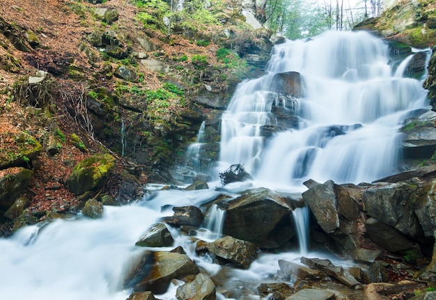 Paisagem do rio de primavera Fluxo rápido em uma floresta de montanha na primavera