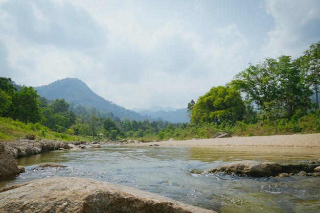 paisagem do rio natureza