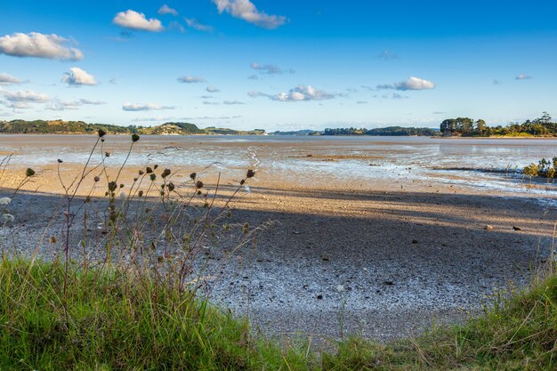 Paisagem do rio tidal na ilha do norte da nova zelândia