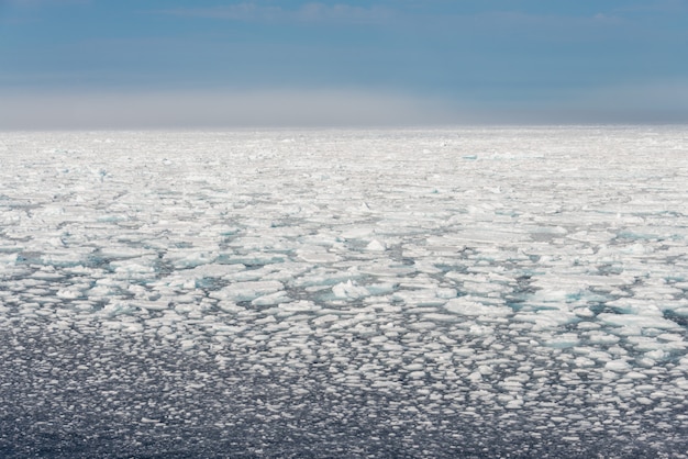Paisagem do Ártico - superfície do mar com bloco de gelo