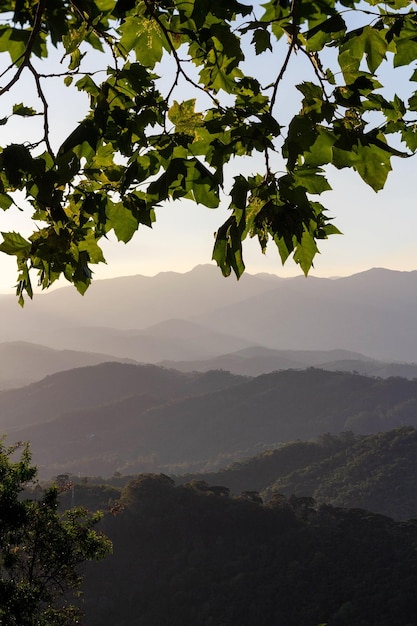 Paisagem do sol nas montanhas e árvores em primeiro plano