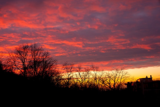 Paisagem do sol