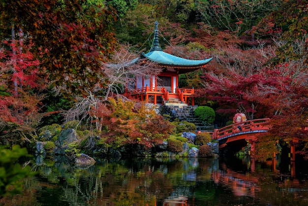 Paisagem do templo daigoji com árvores de bordo coloridas no outono kyoto japão