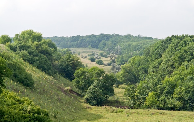 Paisagem donbass no verão