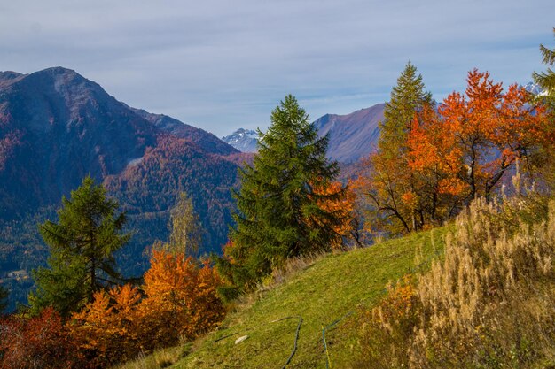 Paisagem dos Alpes italianos no outono