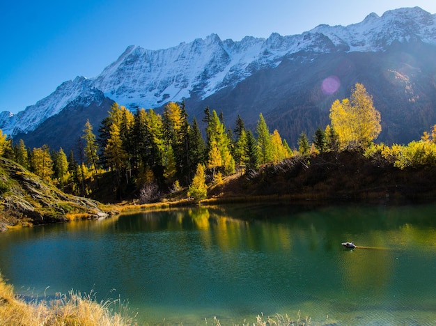 Paisagem dos Alpes suíços no outono