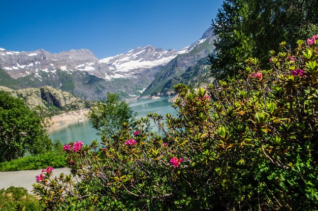 Paisagem dos Alpes suíços