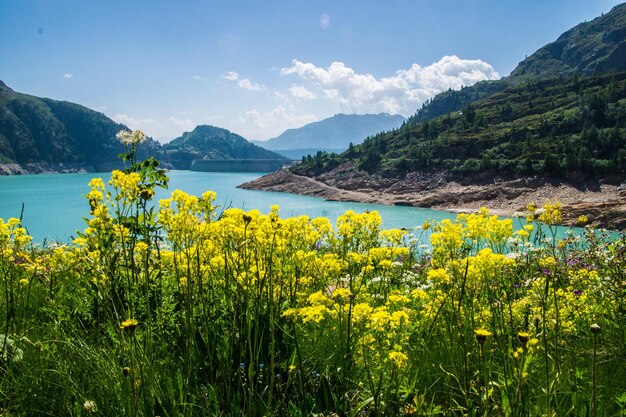 Paisagem dos Alpes suíços