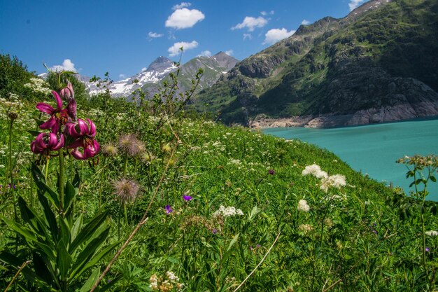 Paisagem dos Alpes suíços