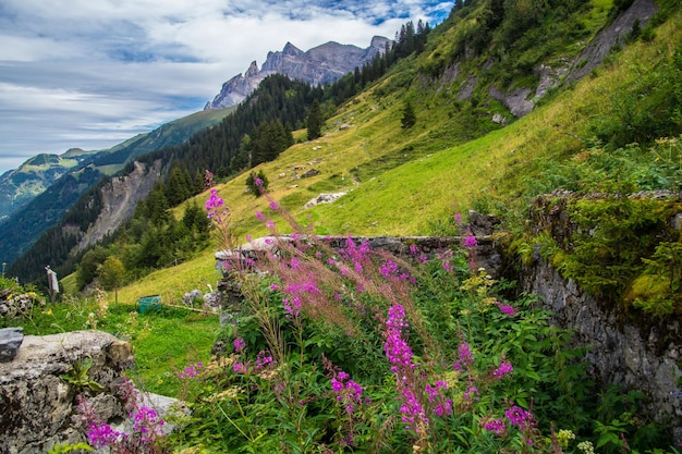 Paisagem dos Alpes suíços