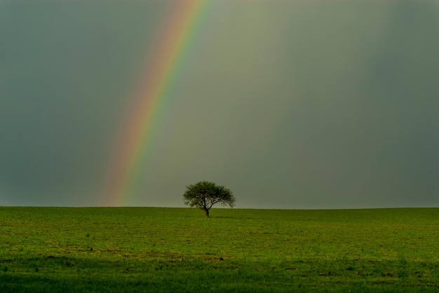 Paisagem dos pampas com arco-íris, província de La Pampa, Patagônia, Argentina.