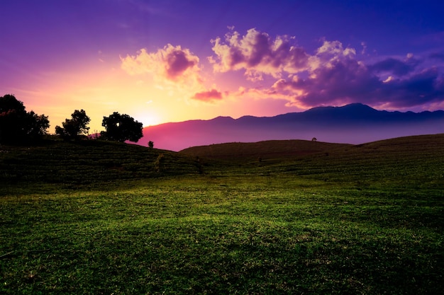 Paisagem dramática do pôr do sol com prado e montanha