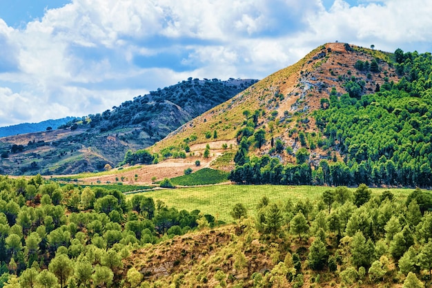 Paisagem e estrada em Segesta na ilha da Sicília, Itália