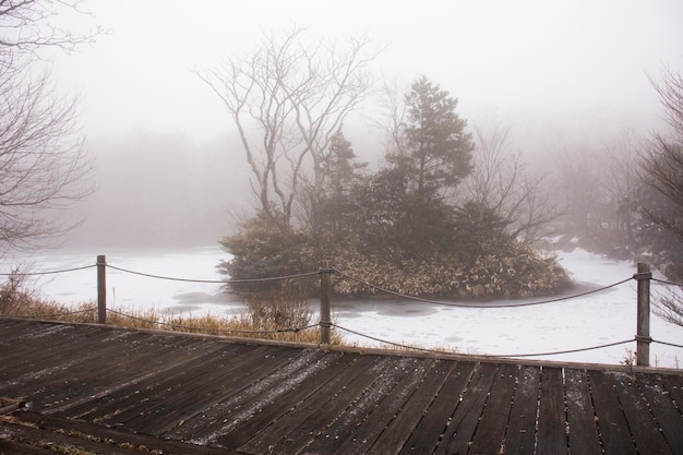 Paisagem e neve caindo coberta na árvore da planta com água do lago congelada na floresta na montanha Hanla ou Monte Halla no Parque Nacional Hallasan para visita coreana na ilha de Jeju em Jejudo Coreia do Sul
