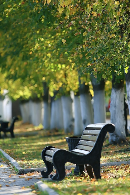 paisagem em banco de parque de outono / belo banco de jardim, conceito de descanso, ninguém no parque de outono, fundo de paisagem, outono