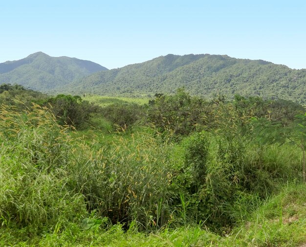 Paisagem em Belize