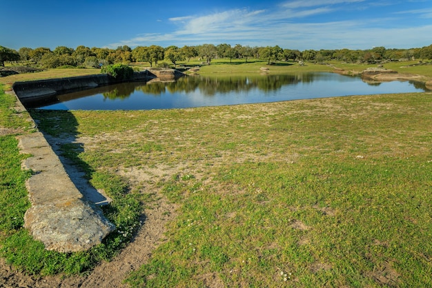 Paisagem em Dehesa de la Luz Extremadura, Espanha