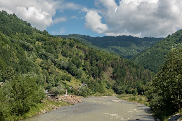 Paisagem, em, vaser, vale, bucovina, mocanita, trem vapor, romania