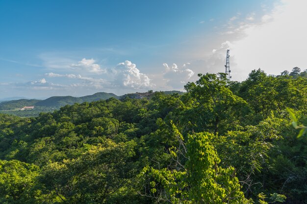 Paisagem, em, vista aérea, de, montanha, e, floresta verde, com, bule, céu