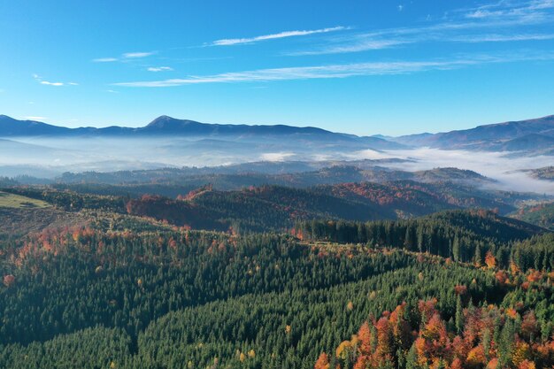 Paisagem ensolarada da montanha dos Cárpatos