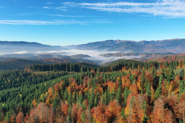 Paisagem ensolarada da montanha dos Cárpatos