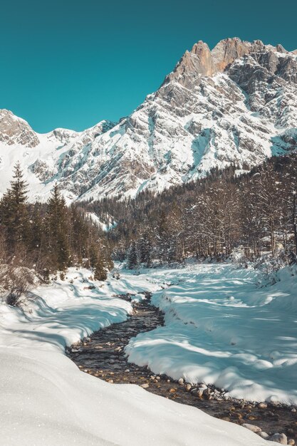 Paisagem ensolarada do inverno nos alpes Cordilheira rio árvores nevadas sol e céu azul