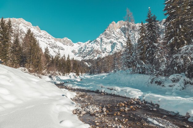 Paisagem ensolarada do inverno nos alpes Cordilheira rio árvores nevadas sol e céu azul