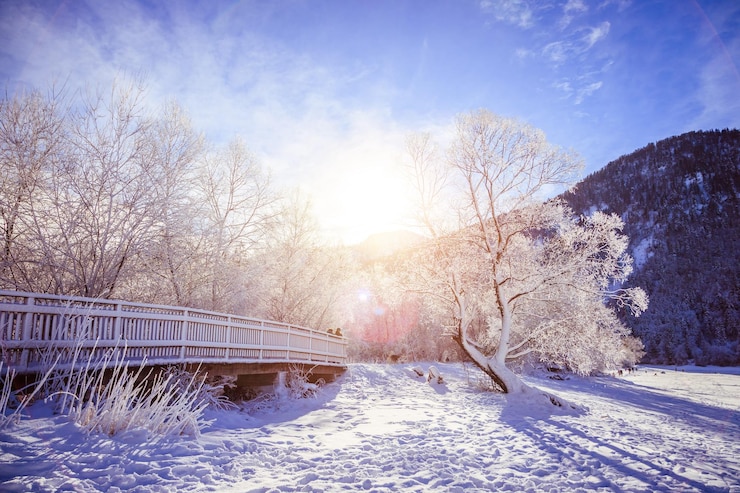 Foto paisagem ensolarada do inverno nos alpes ponte de madeira nevada árvores geladas e cordilheira