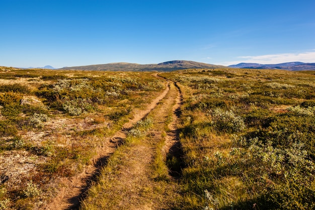 Foto paisagem ensolarada noruega montanhas dovrefjell