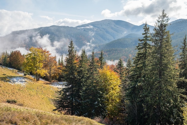 Paisagem épica do outono com árvores amarelas nas montanhas com primeira neve Bela natureza no outono Cárpatos Ucrânia