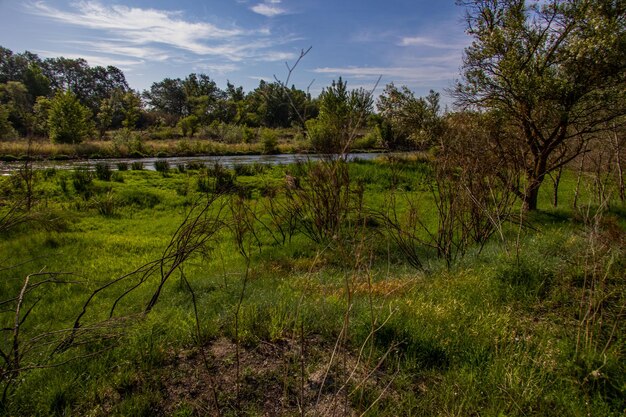 Foto paisagem espanhola ao lado do rio gallego, em aragão, num quente dia de sol de verão, com árvores verdes e céus azuis.