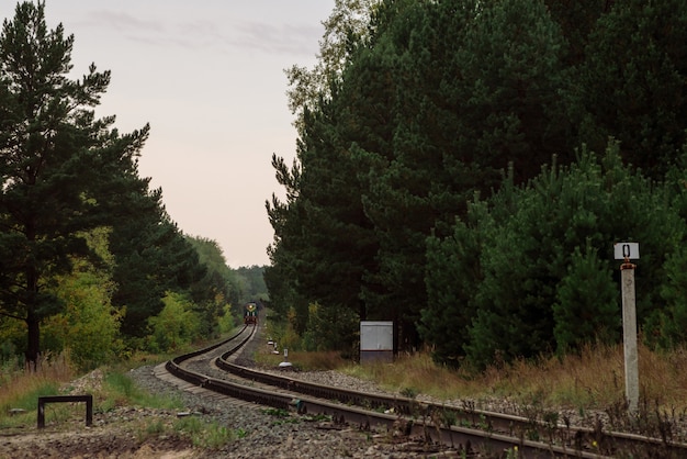 Paisagem florestal com locomotiva na ferrovia