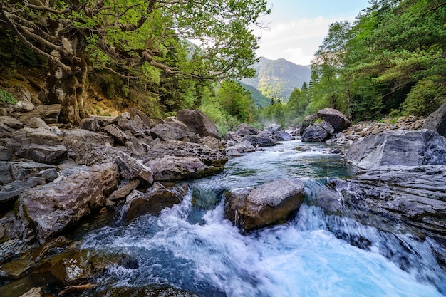 Paisagem florestal com rio rápido e limpo, árvores grandes e rochas. Pirineus, Ordesa. Descanso e passeio pela natureza