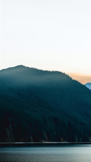 Paisagem florestal gerada pela IA