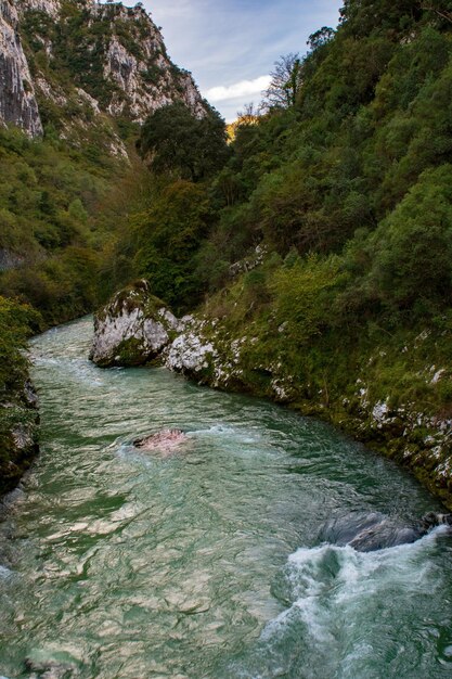 Paisagem fluvial do rio cares nas astúrias