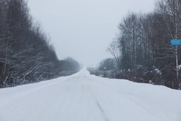 Paisagem gelada de neve de inverno a floresta está coberta de neve geada e nevoeiro no parque