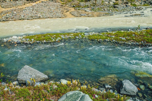 Paisagem heterogênea ensolarada com confluência de três rios. belas paisagens vivas com três rios no mesmo canal. três rios multicoloridos na mesma linha entre uma rica flora e flores variadas