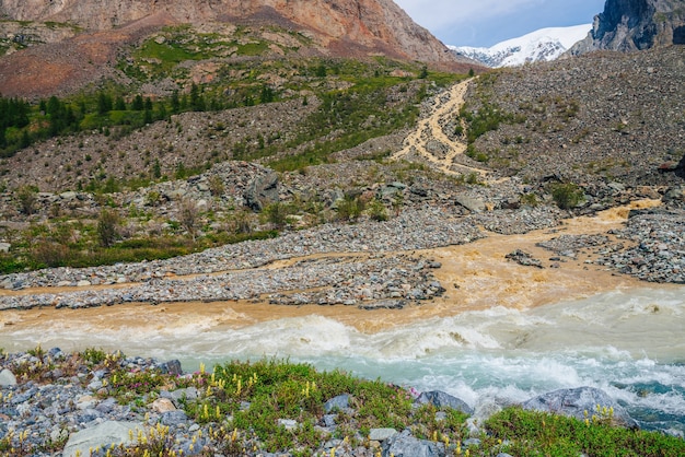 Paisagem heterogênea ensolarada com confluência de três rios. belas paisagens vivas com três rios no mesmo canal. três rios multicoloridos na mesma linha entre uma rica flora e flores variadas