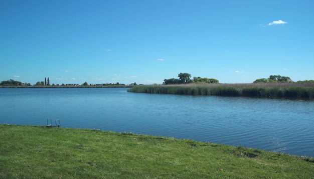 Paisagem holandesa no verão