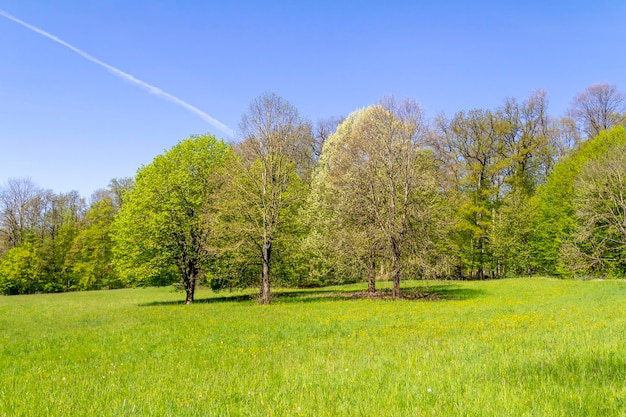 Paisagem idílica da primavera