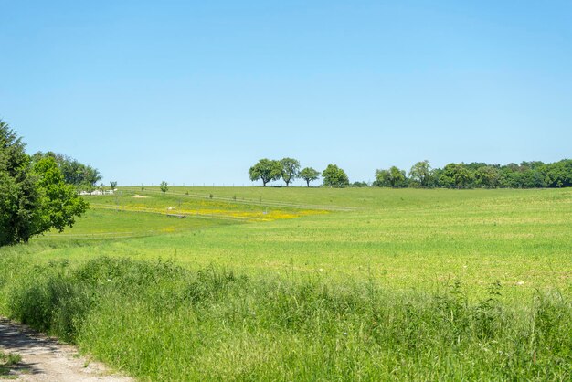 paisagem idílica da primavera