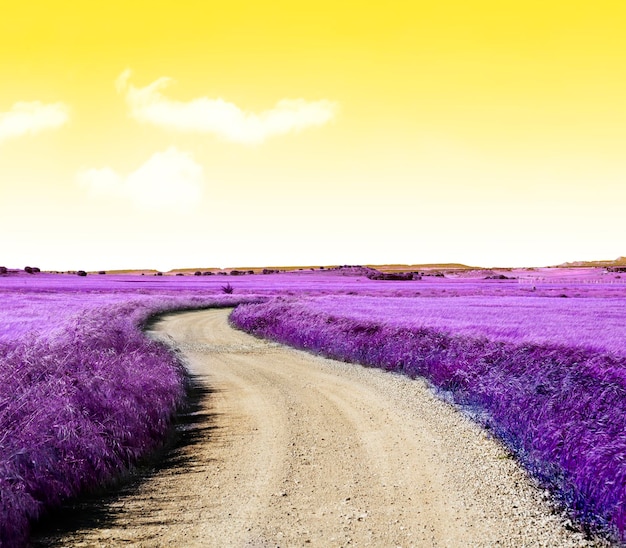 Paisagem idílica e fantasiosa de campos e prados de cor violeta