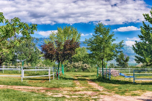 Paisagem idílica no campo