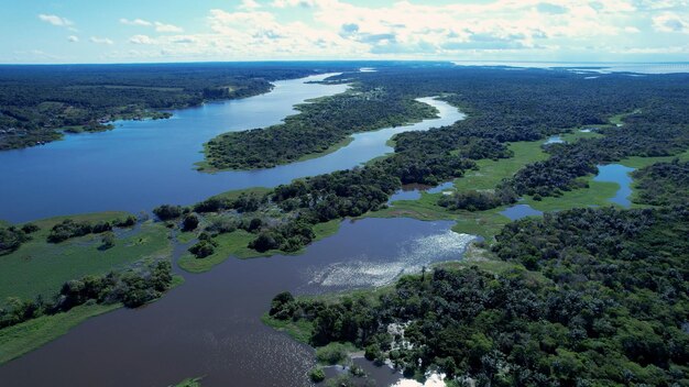 Foto paisagem impressionante da floresta amazônica, no estado do amazonas, no brasil
