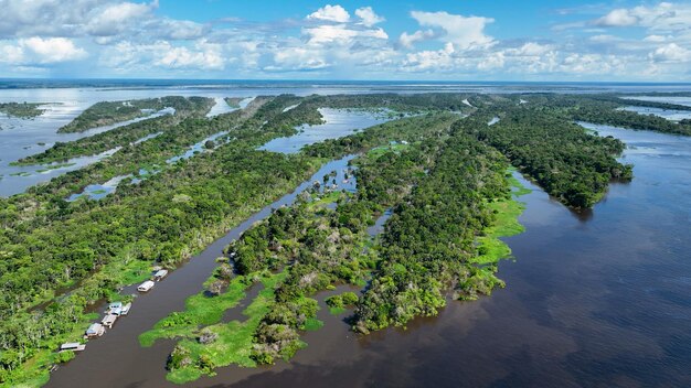 Foto paisagem impressionante da floresta amazônica, no estado do amazonas, no brasil